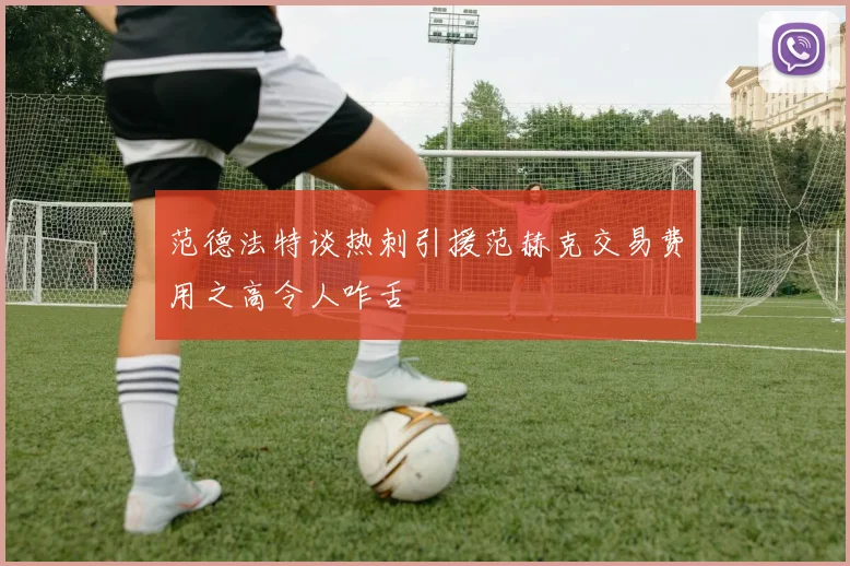 范德法特谈热刺引援范赫克交易费用之高令人咋舌